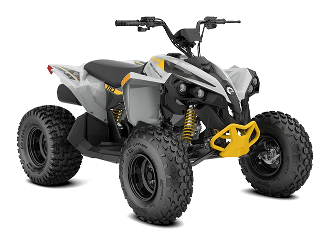 RENEGADE 110 EFI